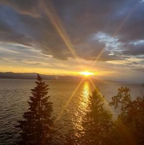 Meet your Posher, Cameron